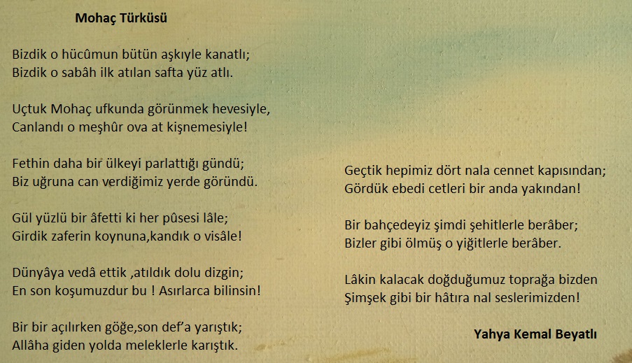 Mohaç Türküsü isimli şiir hangi şaire aittir ?