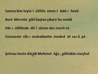 Sanma kim leyle-i  zülfün  elem-i   bâd-ı   hevâ