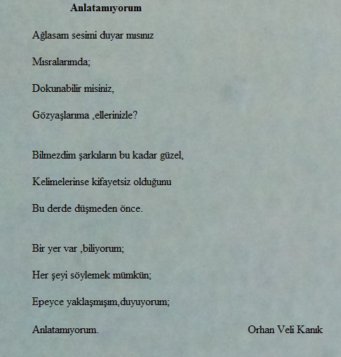 Ağlasam sesimi duyar mısınız