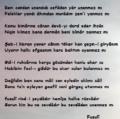 Beni candan usandırdı cefâdan yâr usanmaz mı