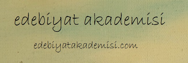edebiyat akademisi nedir?